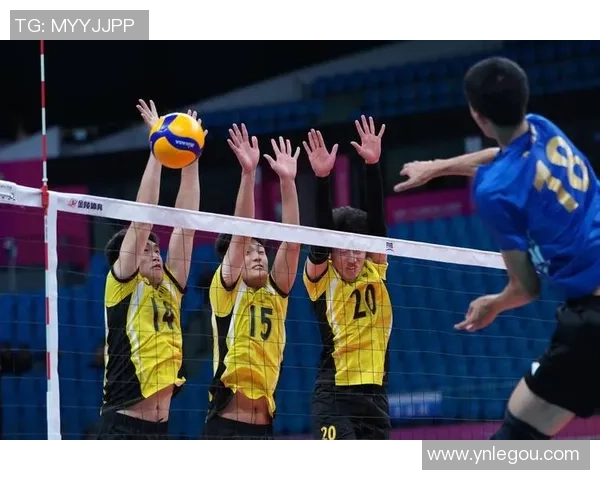 上海排球队技术分析与战术创新的深度探讨与展望