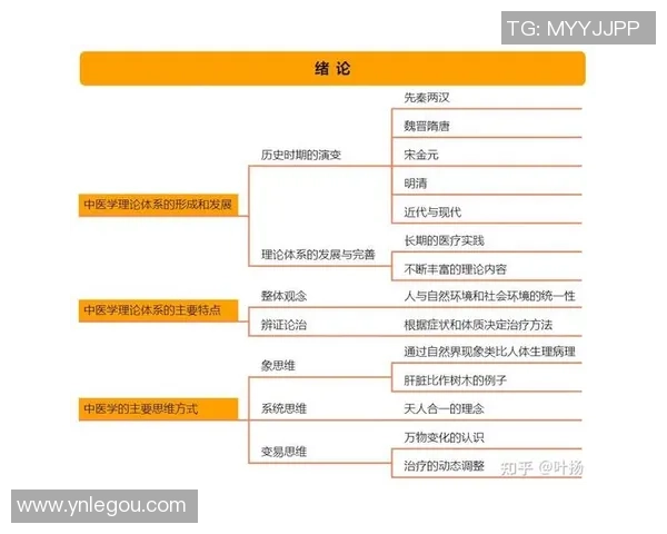 上海排球队的战术运营体系解析与实践探索
